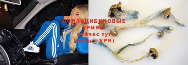 MESCALINE Аркадак