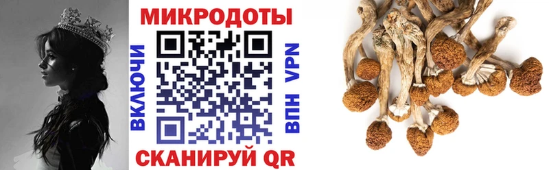 Псилоцибиновые грибы Psilocybine cubensis  хочу наркоту  Лихославль 
